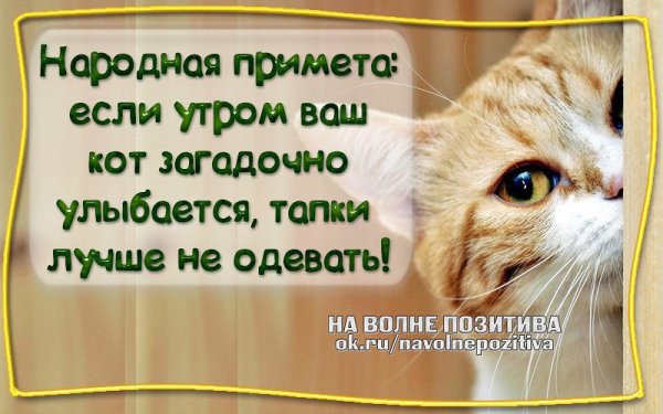 Веселые приметы