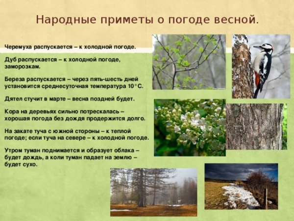 Народные приметы о природе
