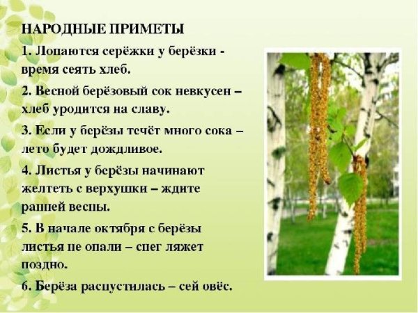 Пословицы и поговорки о лете