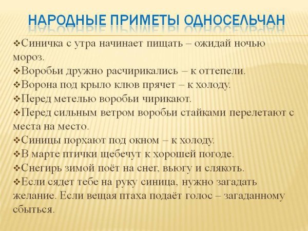 Приметы февраля народные