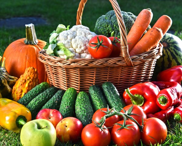 Урожай с огорода