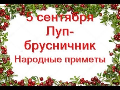Луп брусничник приметы