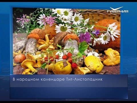 Тит Листопадник