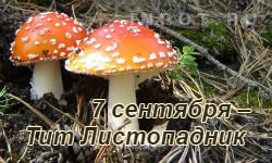 Тит Листопадник 7 сентября