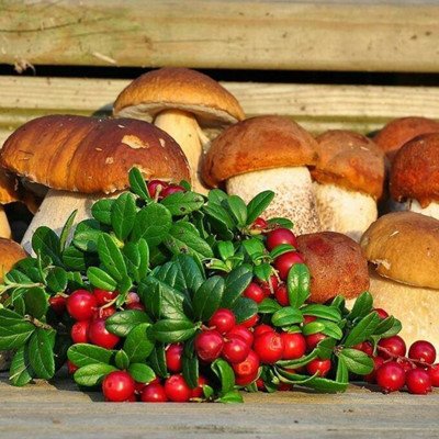 День сбора грибов 7 сентября открытки