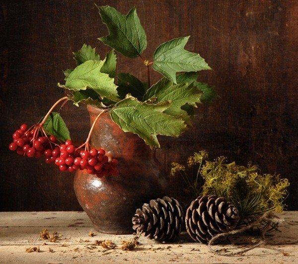 Натюрморты с рябиной и калиной