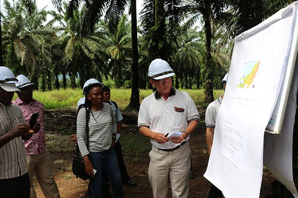 День сотрудничества Юг-Юг ООН