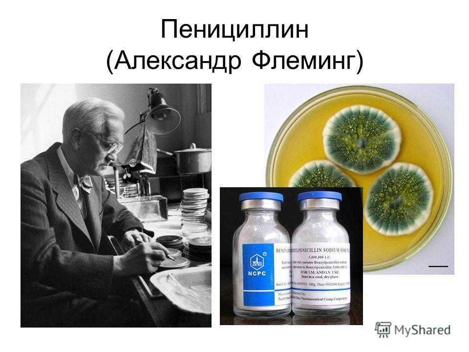 Первый в мире пенициллин