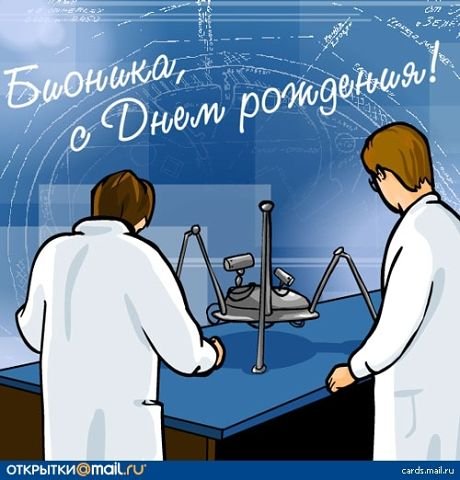 13 Сентября день бионики