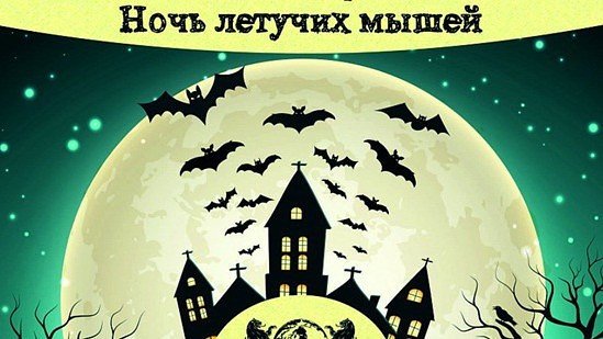 Международная ночь летучих мышей