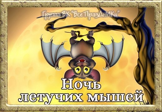 Международная ночь летучих мышей