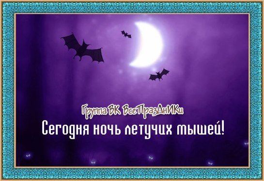 Международная ночь летучих мышей