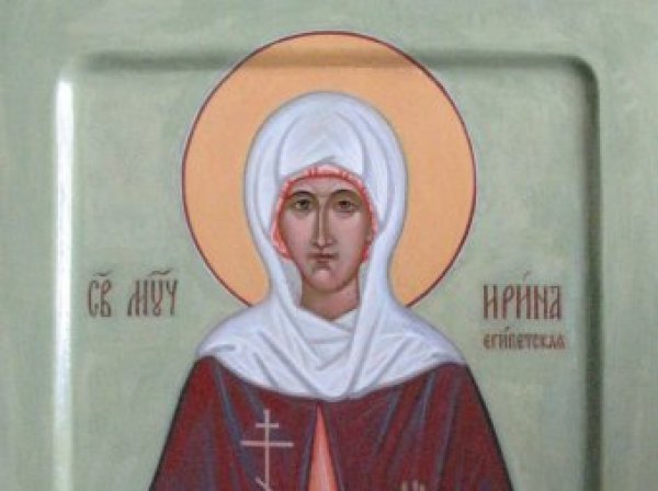 Арина Шиповница 1 октября
