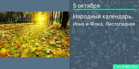 ФОКА Ветроградарь (Иона и ФОКА, Листопадная)