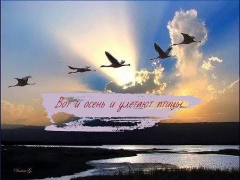 Вот и осень и улетают птицы песня