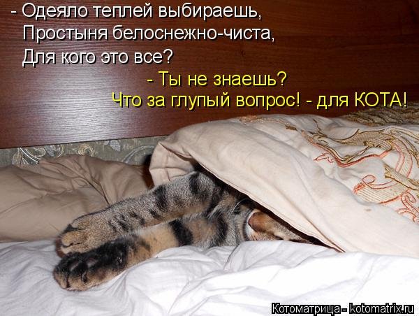 Высказывания про одеяло