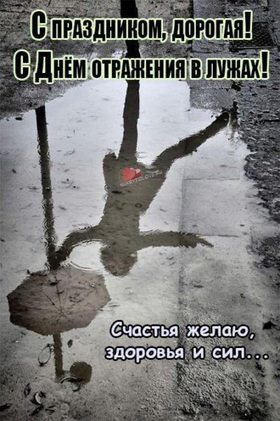 День отражений в лужах 9 октября