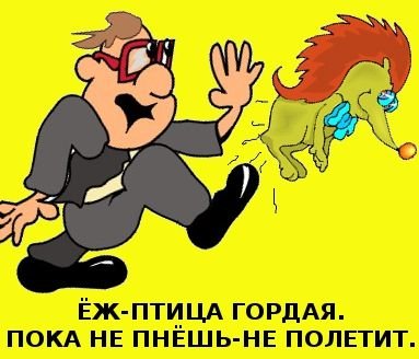 Птица гордая пока не пнешь не полетит
