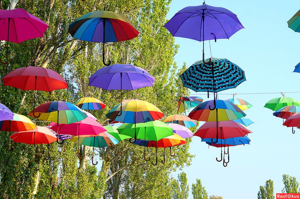 Весенний зонтик. Зонтики яркие. Разноцветные зонтики. Красивые зонтики. Красивый зонт.