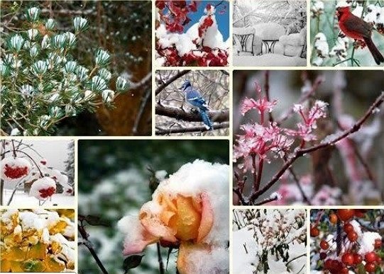 9 Ноября день первых признаков зимы