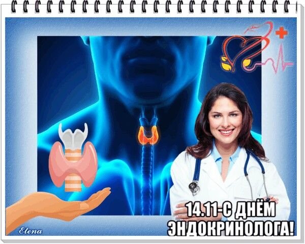 Всемирный день эндокринолога