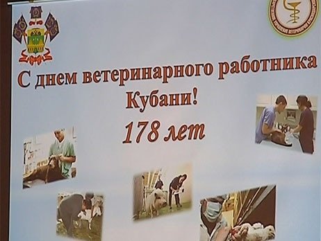 Картинки на День работника ветеринарной службы Кубани (48 фото)