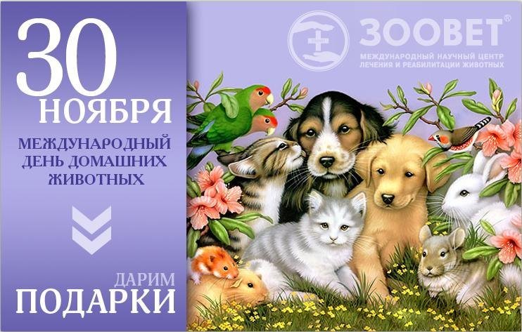 Даты 30 ноября. День домашних животных. 30 Ноября день домашних животных. Всемирный день домашних животных. День домашних животных открытки.