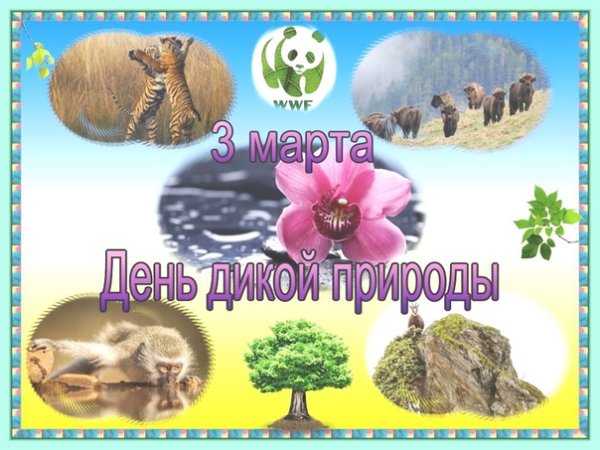 Всемирный день дикой природы