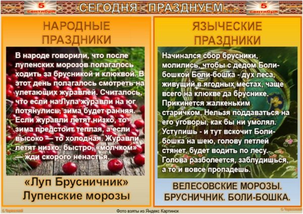 Луп брусничник народный праздник