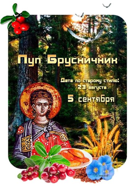 Луп брусничник 5 сентября народный календарь