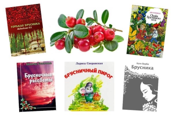 Луппа брусничник