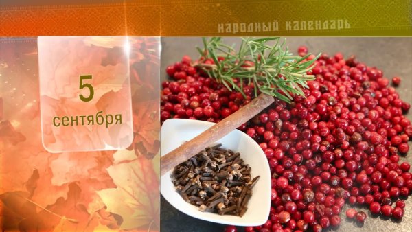 Луп брусничник народный праздник
