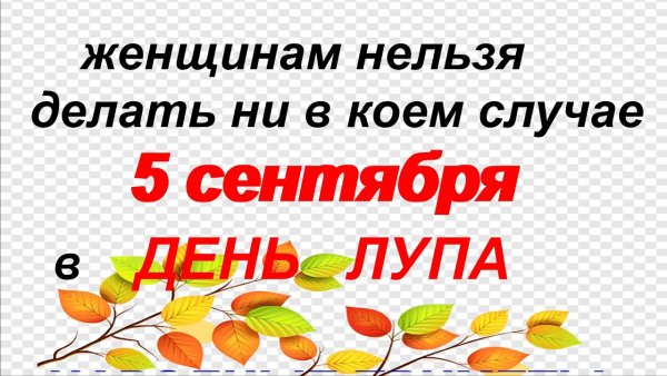 Пятое сентября праздник