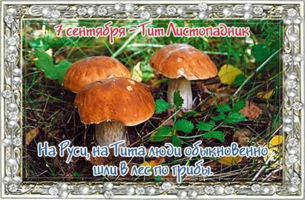 Тит Листопадник народный праздник
