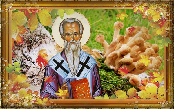 Тит Листопадник 7 сентября