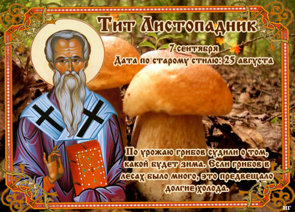 По народному календарю - Тит Листопадник