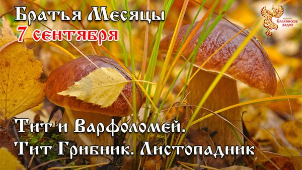 Тит Листопадник 7 сентября