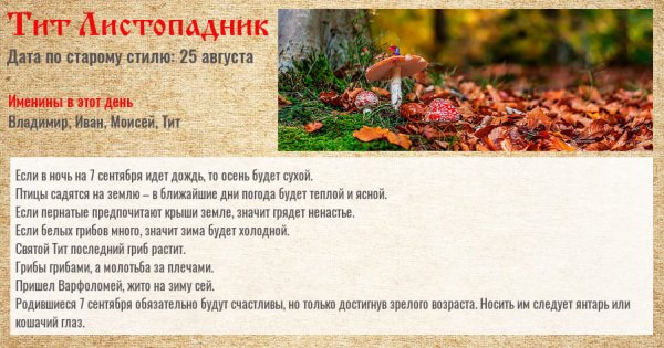 Народный календарь Тит Листопадник