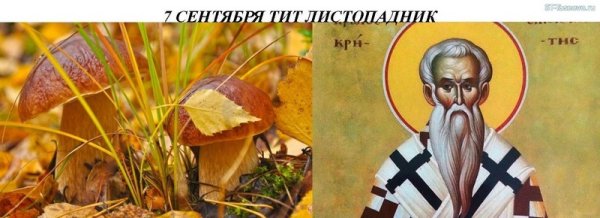 Тит Листопадник (Тит грибник)