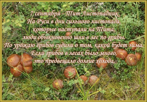 Тит Листопадник народный праздник