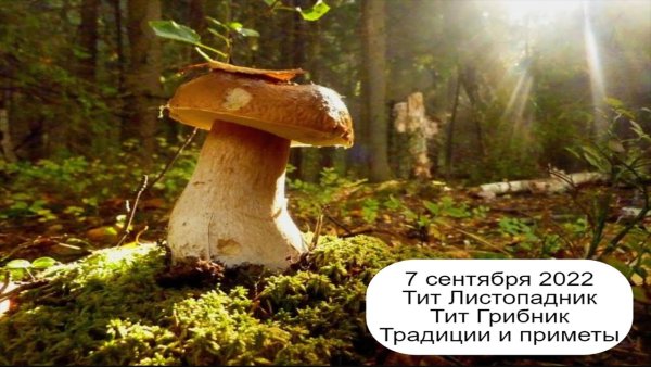 Тит Листопадник