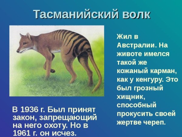 Исчезающие животные Австралии список