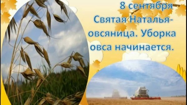 8 Сентября Святая Наталья овсяница