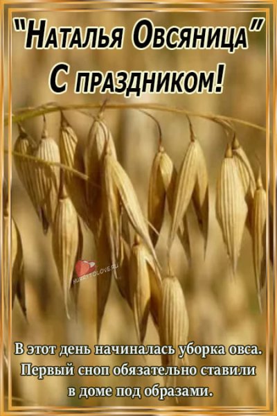 8 Сентября день Натальи овсяницы
