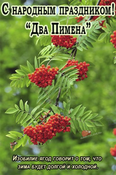 Калина и рябина