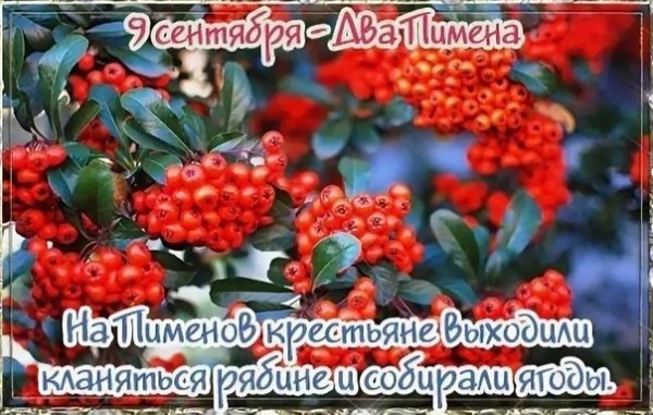 Кукша рябинник 9 сентября