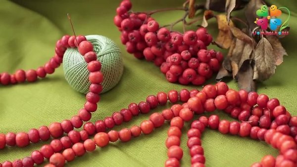 Рябиновые бусы