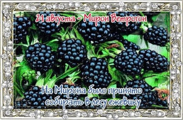 Мирон Ветрогон 21 августа