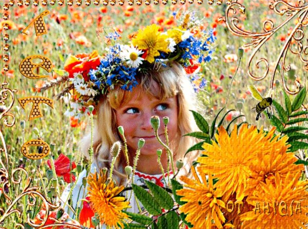 Ах , лето , радостное лето !