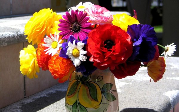 Разноцветные цветы в вазе